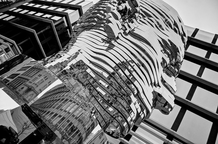 2014 11 20 DSC 0051 BW
