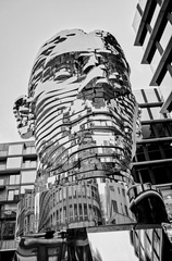 2014 11 20 DSC 0077 BW